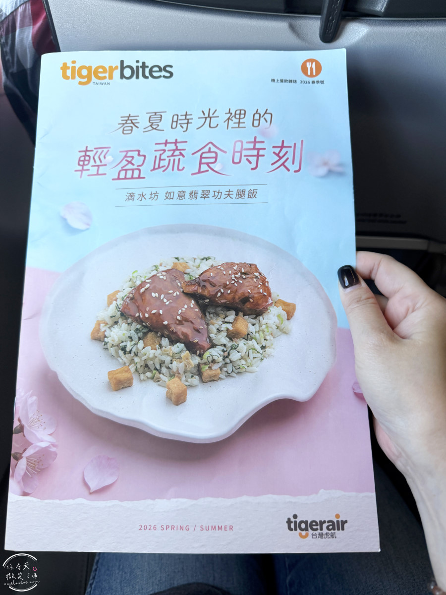 高雄出發東京自由行∥台灣虎航 IT280 班機開箱，班機實際搭乘心得︱高雄直飛東京成田︱虎航線上報到︱Skyliner不用排隊Face Check in Go