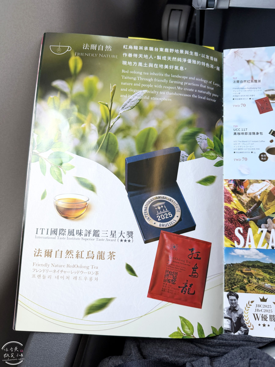 高雄出發東京自由行∥台灣虎航 IT280 班機開箱，班機實際搭乘心得︱高雄直飛東京成田︱虎航線上報到︱Skyliner不用排隊Face Check in Go