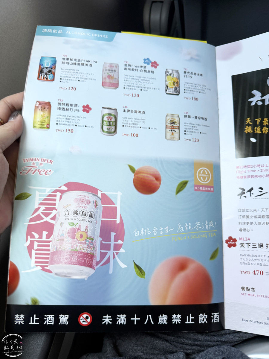 高雄出發東京自由行∥台灣虎航 IT280 班機開箱，班機實際搭乘心得︱高雄直飛東京成田︱虎航線上報到︱Skyliner不用排隊Face Check in Go