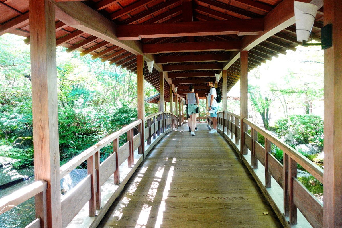 姬路景點推薦∥姬路城參觀完別錯過好古園︱雙樹庵抹茶和菓子與日式庭園療癒體驗分享︱姬路城旁隱藏版日式茶屋︱姬路一日遊景點 - 第16張圖 姬路景點推薦∥姬路城參觀完別錯過好古園︱雙樹庵抹茶和菓子與日式庭園療癒體驗分享︱姬路城旁隱藏版日式茶屋︱姬路一日遊景點