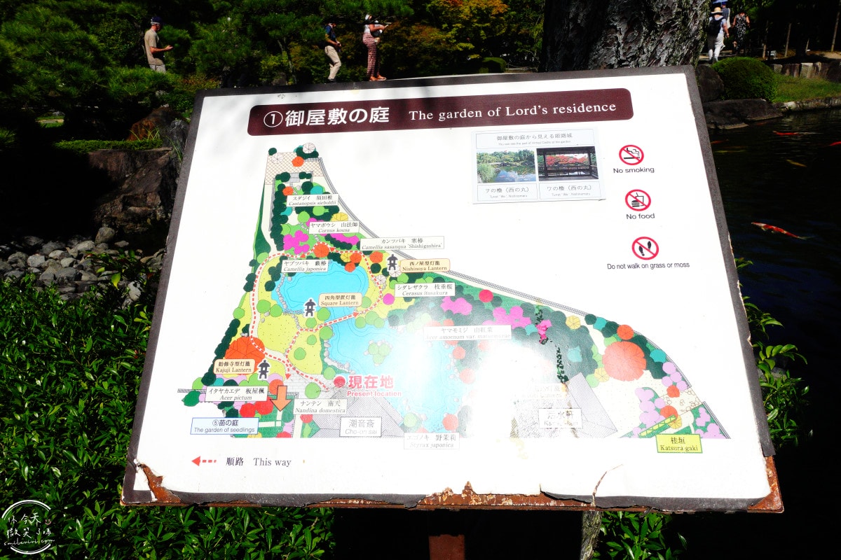 姬路景點推薦∥姬路城參觀完別錯過好古園︱雙樹庵抹茶和菓子與日式庭園療癒體驗分享︱姬路城旁隱藏版日式茶屋︱姬路一日遊景點 - 第15張圖 姬路景點推薦∥姬路城參觀完別錯過好古園︱雙樹庵抹茶和菓子與日式庭園療癒體驗分享︱姬路城旁隱藏版日式茶屋︱姬路一日遊景點