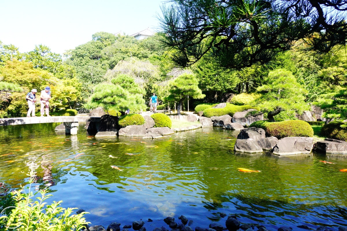 姬路景點推薦∥姬路城參觀完別錯過好古園︱雙樹庵抹茶和菓子與日式庭園療癒體驗分享︱姬路城旁隱藏版日式茶屋︱姬路一日遊景點 - 第19張圖 姬路景點推薦∥姬路城參觀完別錯過好古園︱雙樹庵抹茶和菓子與日式庭園療癒體驗分享︱姬路城旁隱藏版日式茶屋︱姬路一日遊景點