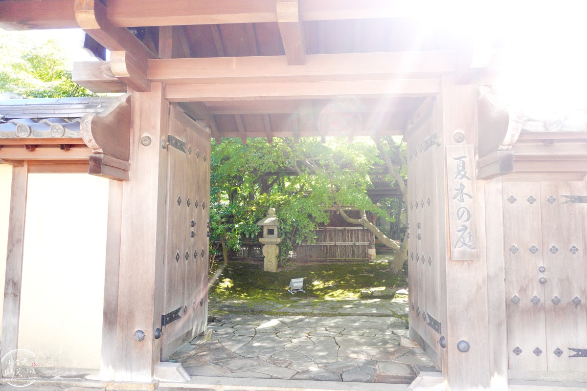 姬路景點推薦∥姬路城參觀完別錯過好古園︱雙樹庵抹茶和菓子與日式庭園療癒體驗分享︱姬路城旁隱藏版日式茶屋︱姬路一日遊景點 - 第42張圖 姬路景點推薦∥姬路城參觀完別錯過好古園︱雙樹庵抹茶和菓子與日式庭園療癒體驗分享︱姬路城旁隱藏版日式茶屋︱姬路一日遊景點