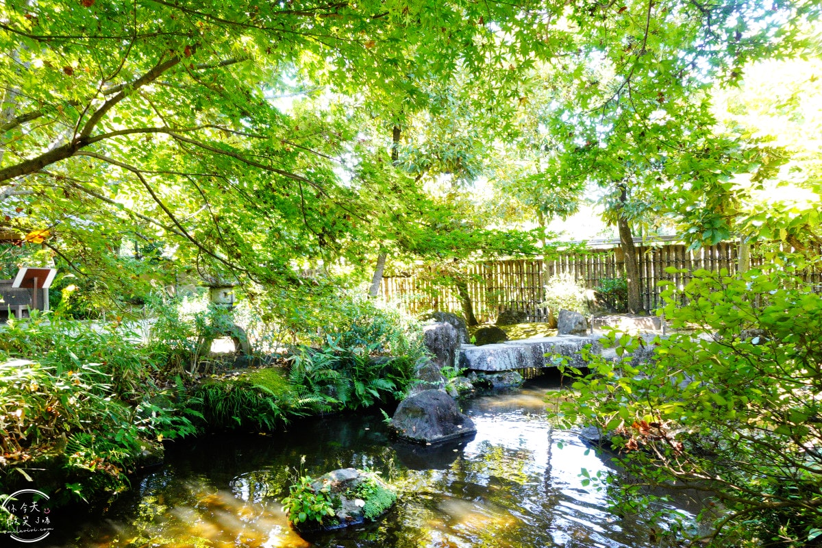 姬路景點推薦∥姬路城參觀完別錯過好古園︱雙樹庵抹茶和菓子與日式庭園療癒體驗分享︱姬路城旁隱藏版日式茶屋︱姬路一日遊景點 - 第43張圖 姬路景點推薦∥姬路城參觀完別錯過好古園︱雙樹庵抹茶和菓子與日式庭園療癒體驗分享︱姬路城旁隱藏版日式茶屋︱姬路一日遊景點