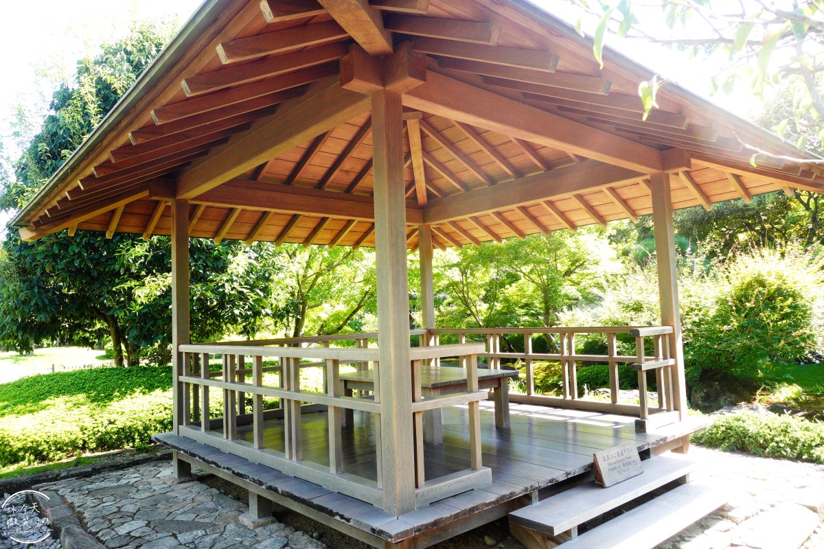 姬路景點推薦∥姬路城參觀完別錯過好古園︱雙樹庵抹茶和菓子與日式庭園療癒體驗分享︱姬路城旁隱藏版日式茶屋︱姬路一日遊景點 - 第45張圖 姬路景點推薦∥姬路城參觀完別錯過好古園︱雙樹庵抹茶和菓子與日式庭園療癒體驗分享︱姬路城旁隱藏版日式茶屋︱姬路一日遊景點