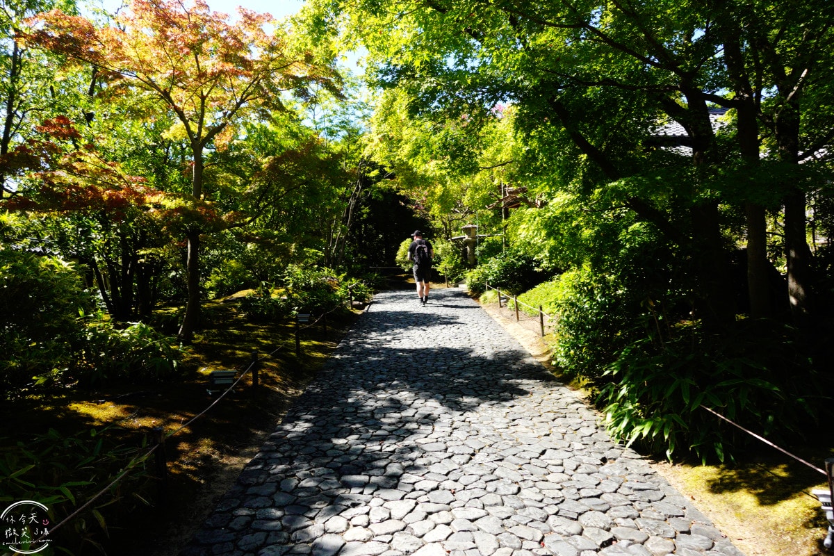 姬路景點推薦∥姬路城參觀完別錯過好古園︱雙樹庵抹茶和菓子與日式庭園療癒體驗分享︱姬路城旁隱藏版日式茶屋︱姬路一日遊景點 - 第11張圖 姬路景點推薦∥姬路城參觀完別錯過好古園︱雙樹庵抹茶和菓子與日式庭園療癒體驗分享︱姬路城旁隱藏版日式茶屋︱姬路一日遊景點