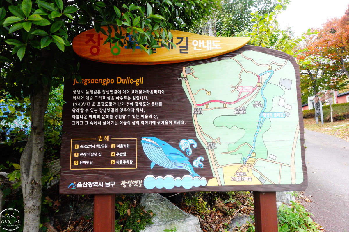蔚山自由行必訪∥蔚山長生浦鯨魚文化特區(장생포 고래문화특구)最美海岸散步路線!環村步道、鯨魚文化村、鯨魚故事藝術裝置、鯨魚主題遊樂場順遊推薦,蔚山景點一日遊推薦 - 第5張圖 蔚山自由行必訪∥蔚山長生浦鯨魚文化特區(장생포 고래문화특구)最美海岸散步路線!環村步道、鯨魚文化村、鯨魚故事藝術裝置、鯨魚主題遊樂場順遊推薦,蔚山景點一日遊推薦