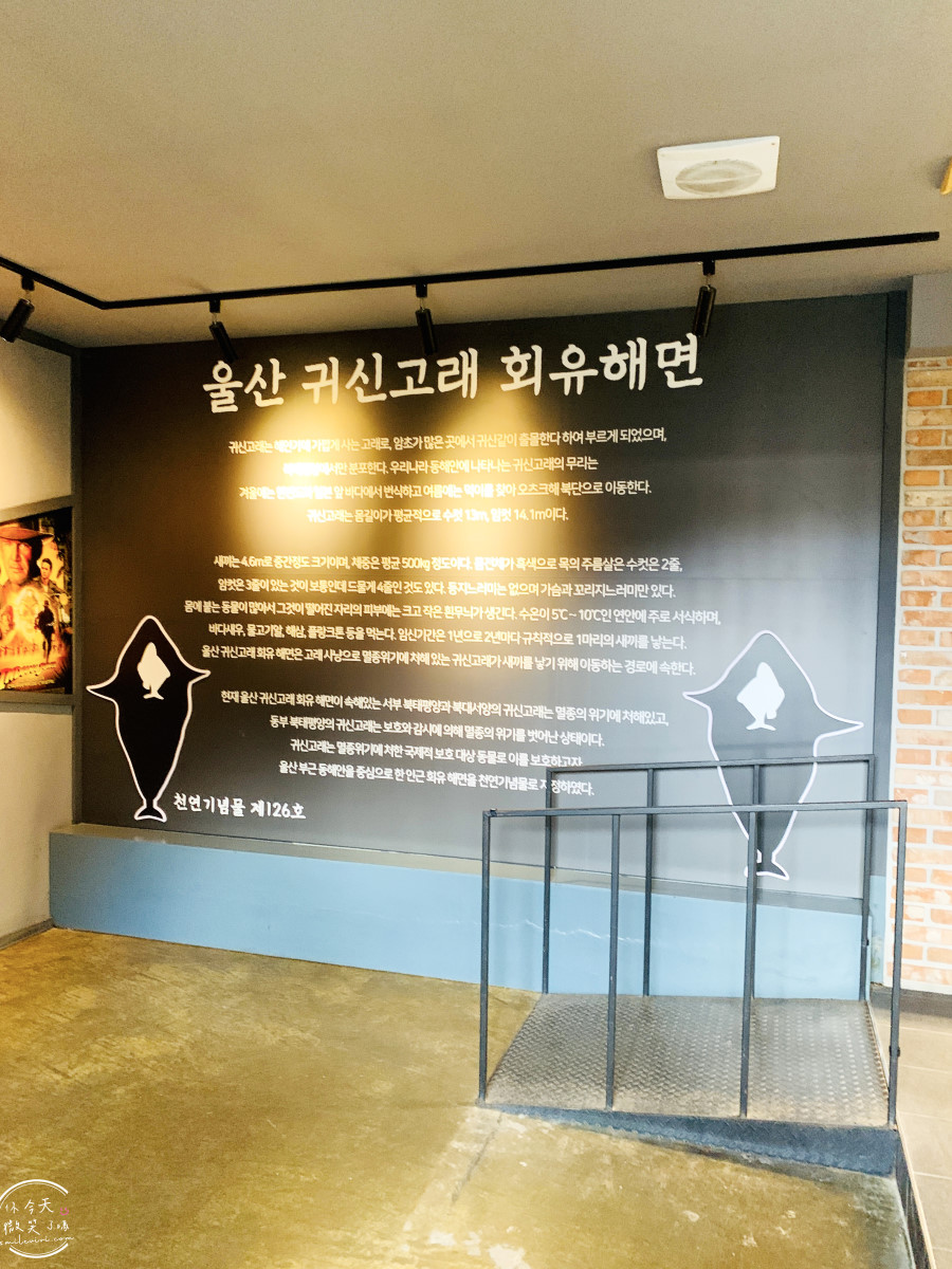 蔚山一日遊必訪∥長生浦舊村落(장생포 옛마을)長生浦鯨魚村(장생포고래마을)走進韓國1960年代老街！長生浦鯨魚文化村必拍景點(장생포고래문화마을)，舊村落、復古商店、老街彷彿走進韓劇復古場景︱Running Man拍攝地