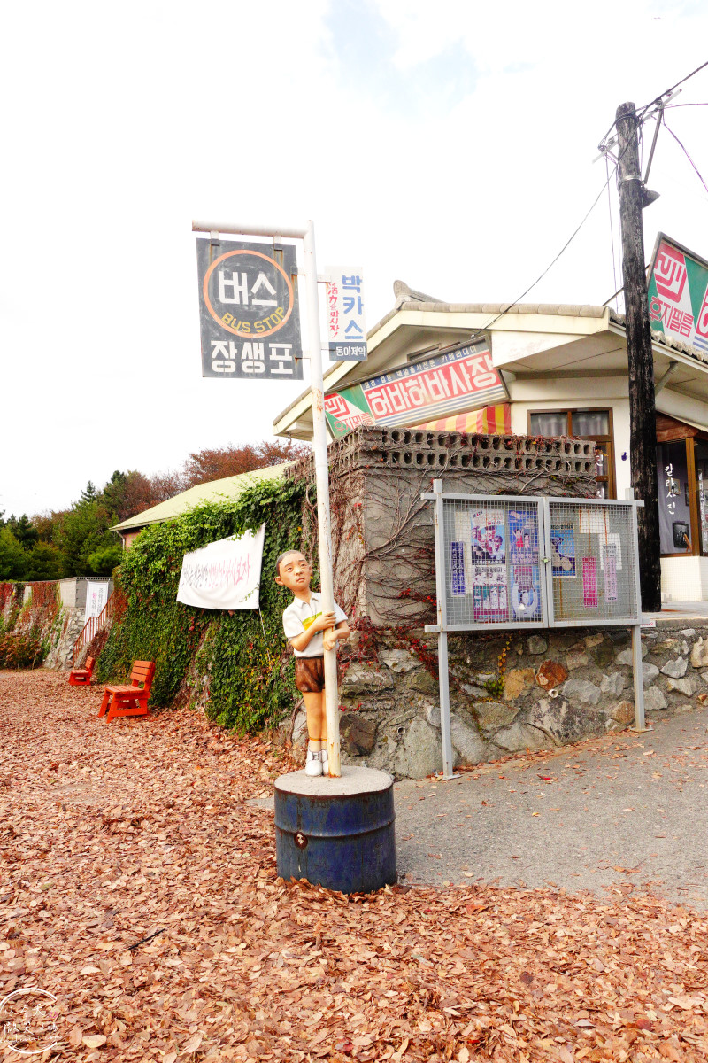 蔚山一日遊必訪∥長生浦舊村落(장생포 옛마을)長生浦鯨魚村(장생포고래마을)走進韓國1960年代老街！長生浦鯨魚文化村必拍景點(장생포고래문화마을)，舊村落、復古商店、老街彷彿走進韓劇復古場景︱Running Man拍攝地