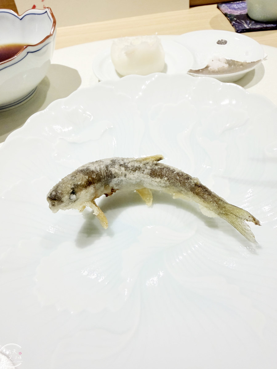 高雄美食必吃∥天婦羅廷板前天婦羅，無菜單料理完整分享｜職人現炸無菜單饗宴，海鮮、蔬菜炸物一次享受｜高雄苓雅區美食，採預約制